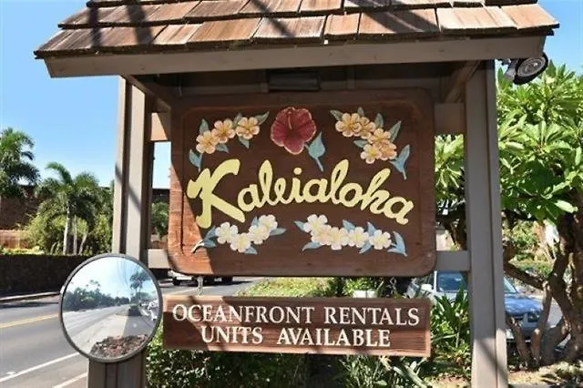 Kaleialoha 209 Condo Kahana 0*,  United States